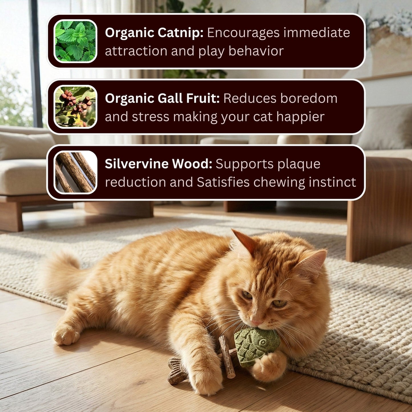 Catnip & Silvervine Chew 🔥