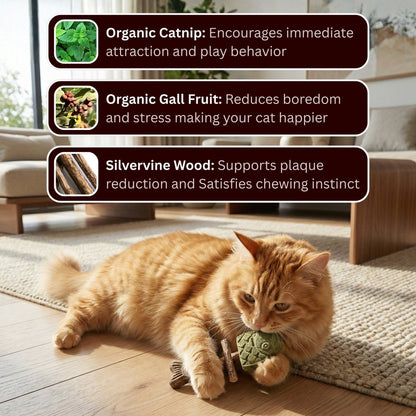 Catnip & Silvervine Chew 🔥